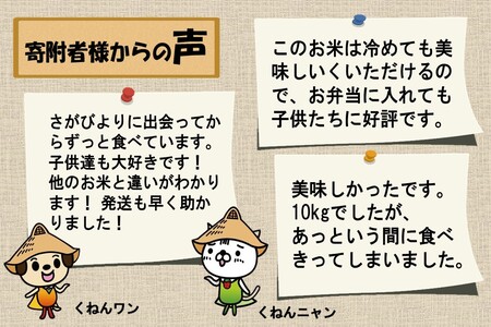 ごはんソムリエが厳選 さがびより10kg(令和4年産)【米 お米 精米 白米
