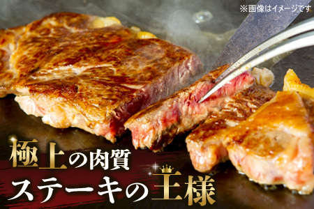 佐賀牛 赤身ブロック700g サーロインステーキ3枚(H122102)