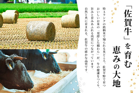 佐賀牛 すきやき用800g(H122145)