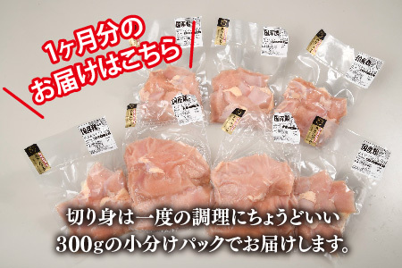 【3カ月定期便】ありたどり 胸肉 3.1kg×3回 計9.3kg(H123113)