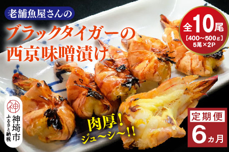【6カ月定期便】ブラックタイガーの西京味噌漬け 5尾×2パック×6回(H032143)