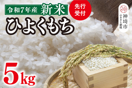 【令和7年産 新米 先行受付】ひよくもち5kg【ひよくもち もち米 九州 肥沃 食感 お餅 赤飯 おこわ ちまき 美味しい】(H061843)