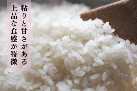 【令和7年産 新米 先行受付】ひよくもち10kg(5kg×2)【ひよくもち もち米 九州 肥沃 食感 お餅 赤飯 おこわ ちまき 美味しい】(H061844)