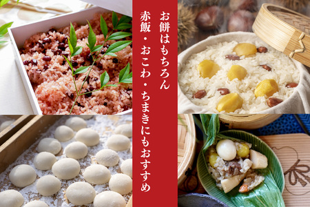 【令和7年産 新米 先行受付】ひよくもち10kg(5kg×2)【ひよくもち もち米 九州 肥沃 食感 お餅 赤飯 おこわ ちまき 美味しい】(H061844)