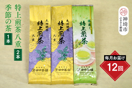 【毎月お届け12回】特上煎茶八重2本と季節のお茶1本(合計100g×3本)(H047121)