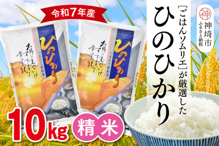 【令和7年産】ごはんソムリエが厳選 白米 ひのひかり 10kg(H063151)