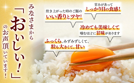 【定期便3ヶ月】令和7年産 さがびより 精米 10kg×3回(H015207)