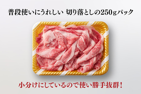 艶さし!【A4～A5】佐賀牛大判霜降り贅沢切り落とし 250g(H112339)