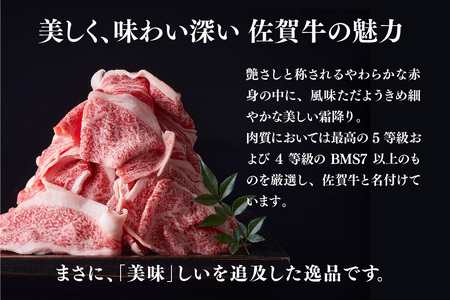 艶さし!【A4～A5】佐賀牛大判霜降り贅沢切り落とし 500g(250g×2P)(H112340)