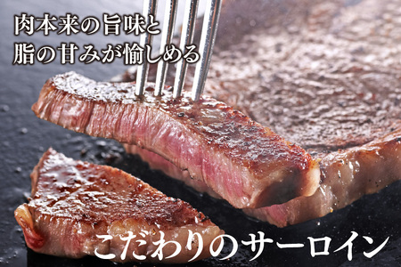 【スピード発送】佐賀牛 サーロインステーキ 200g×2枚(合計400g)【A4～A5ランク】(H085211)