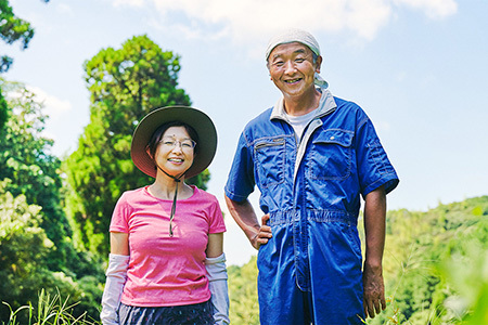 おひさまプリン&ケーキセット【スイーツ 平飼い 無添加 有精卵 ミルン牧場 牛乳 プリン県 プリンマップ 】 (H073110)