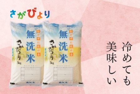 令和5年産 さがびより 無洗米 5kg×2 【ふるさと納税 国産 佐賀県 神埼