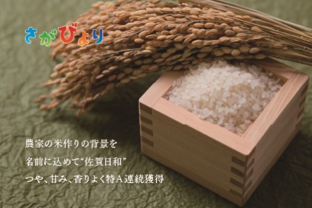 2月発送】令和5年産 さがびより 無洗米 5kg×2 【ふるさと納税 国産