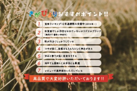 2月発送】令和5年産 さがびより 無洗米 5kg×2 【ふるさと納税 国産