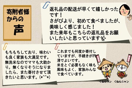 2月発送】令和5年産 さがびより 無洗米 5kg×2 【ふるさと納税 国産