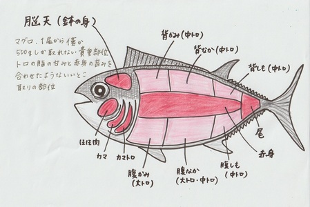 マグロの煮付け 1kg 【マグロ 煮付け 手作り 冷凍 脂がのった】(H071115)