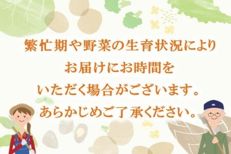 里山で採れた野菜セットショート 8品 【有機野菜 おまかせ野菜セット イタリア野菜 西洋野菜】(H078101)