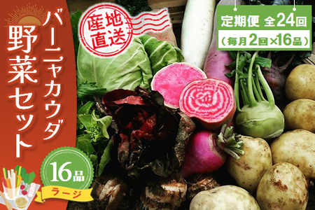 年間定期便24回 バーニャカウダ野菜セットラージ 16品 (H078123)
