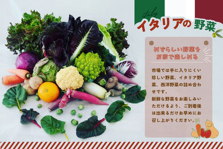 年間定期便24回 イタリア野菜セットショート 7品 (H078147)