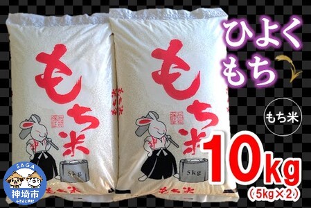 令和4年産 もち米 5kg×2 【ふるさと納税 国産 佐賀県 神埼市 もち米】(H074111)