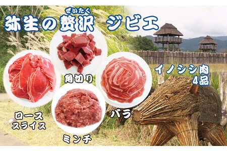 脊振ジビエ イノシシ肉(ロース バラ 角切り ミンチ)4品詰合せ(小) 【佐賀 佐賀県産 猪 ロース バラ スライス 焼肉 しゃぶしゃぶ 鍋物】(H072186)