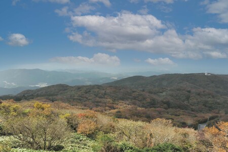 脊振ジビエ イノシシ肉(ロース バラ 角切り ミンチ)4品詰合せ(小) 【佐賀 佐賀県産 猪 ロース バラ スライス 焼肉 しゃぶしゃぶ 鍋物】(H072186)