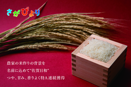 【令和6年産 新米】さがびより 精米 5kg【特A受賞米 米 5kg お米 コメ こめ 国産 美味しい ブランド米 人気 ランキング】(H015184)