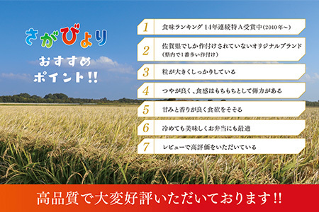 【令和6年産 新米】さがびより 精米 5kg【特A受賞米 米 5kg お米 コメ こめ 国産 美味しい ブランド米 人気 ランキング】(H015184)