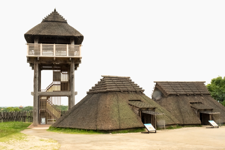 【定期便3回】脊振ジビエ イノシシ肉(ローススライス)800g (H072122)