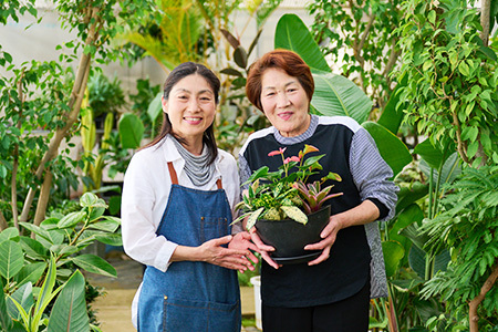 オリジナルアレンジ観葉植物　Lサイズ (H086106)