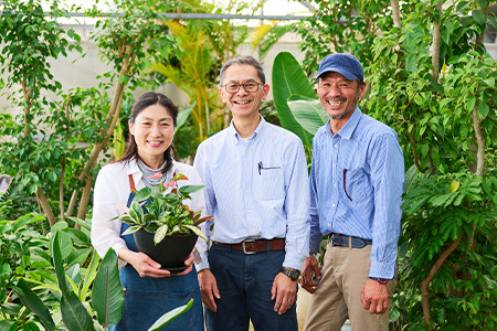 オリジナルアレンジ観葉植物　Lサイズ (H086106)