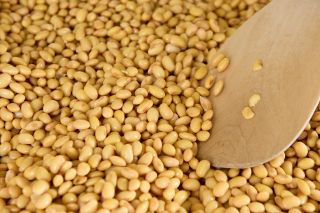 添加物不使用 手作り【こじかの白雪みそ】500g×2パック・小分け(H090102)