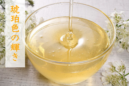 【数量限定】2025年産 国産天然蜂蜜(春の蜜)300g & 280g (H049127)