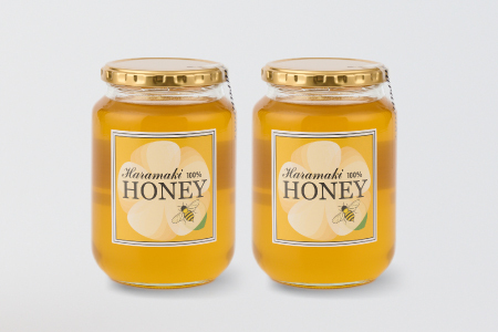 【春の蜜 & 初夏の蜜セット】国産天然蜂蜜 春の蜜1kg & 初夏の蜜1kg (H049121)