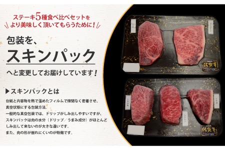 佐賀牛 ステーキ 5種 食べ比べセット 500g （100gx5枚） A5 A4 サーロイン ヒレ 希少部位 (H085194)