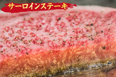 佐賀牛 サーロインステーキ 300g x 2枚(合計600g)【A4~A5ランク】(H085118)