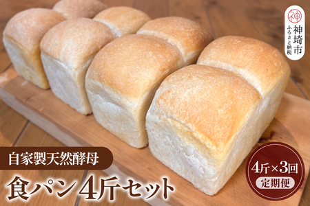 【定期便3回】自家製天然酵母の食パン 4斤【パンと器のコネル】(H094126)
