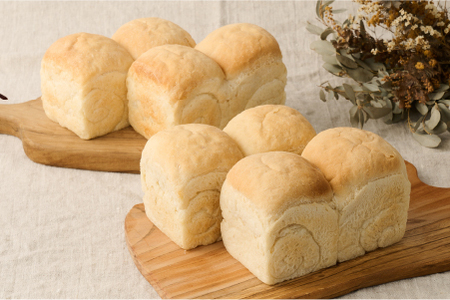 【定期便3回】自家製天然酵母の食パン 4斤【パンと器のコネル】(H094126)
