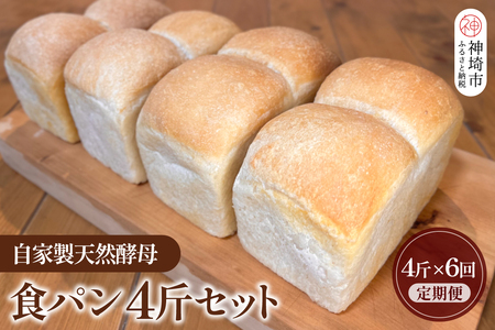 【定期便6回】自家製天然酵母の食パン 4斤【パンと器のコネル】(H094127)