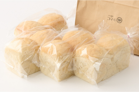 【定期便6回】自家製天然酵母の食パン 4斤【パンと器のコネル】(H094127)