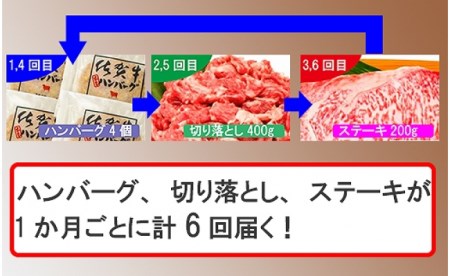 【6回定期便】「お一人様オススメ」佐賀牛定期便【フルーム】[FAZ014]