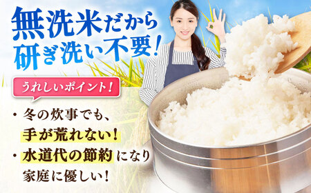 令和7年産 夢しずく 無洗米 6kg 大塚米穀店 むせんまい[FCW030]