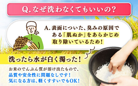 令和7年産 夢しずく 無洗米 6kg 大塚米穀店 むせんまい[FCW030]