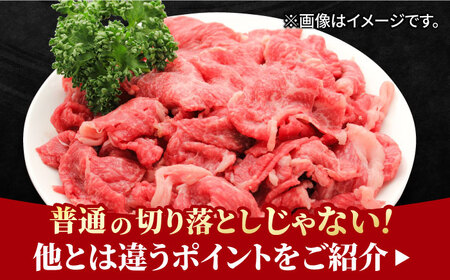 【まるっと便利】佐賀牛 赤身とバラ肉の切り落とし 600g 吉野ヶ里町/NICK’S MEAT[FCY029]