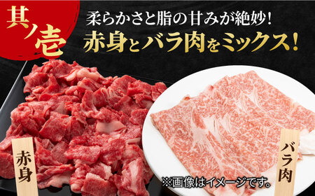 【まるっと便利】佐賀牛 赤身とバラ肉の切り落とし 600g 吉野ヶ里町/NICK’S MEAT[FCY029]