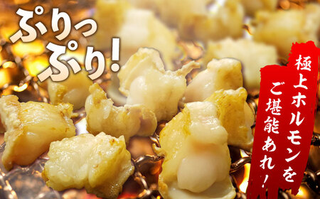 【脂が甘くてぷりっぷり！】佐賀牛ホルモン 焼肉用 小腸 500g（250g×2）味付けなし 吉野ヶ里町/やきとり紋次郎[FCJ089]