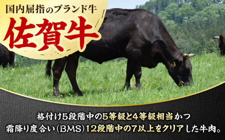 【12回定期便】佐賀牛 希少部位食べ比べ ヒレ イチボ ランプ 総計10.8kg[FCY034]