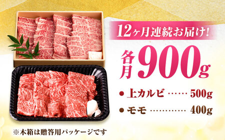【12回定期便】 佐賀牛 焼肉満喫セット モモ 上カルビ 総計10.8kg 吉野ヶ里町/NICK’S MEAT[FCY037]