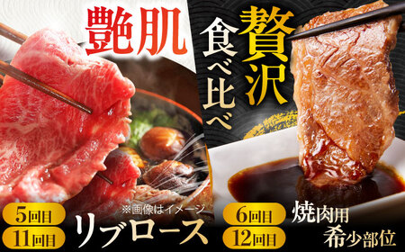 【2026年2月以降発送開始】【全12回定期便】A4 A5  佐賀牛 ＜総量7.8kg！＞シルバーコース [FAY039]