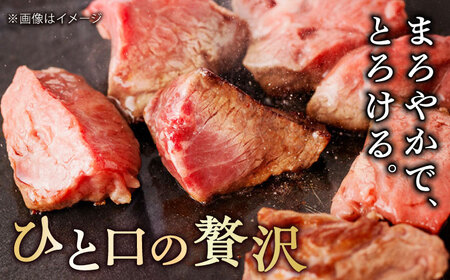 佐賀牛 A4 A5等級 ヒレ サイコロステーキ 450g すてーき 黒毛和牛[FCY039]